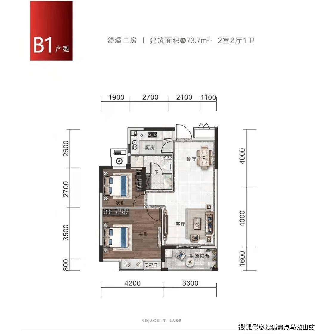 皇灾最新消息全面解析