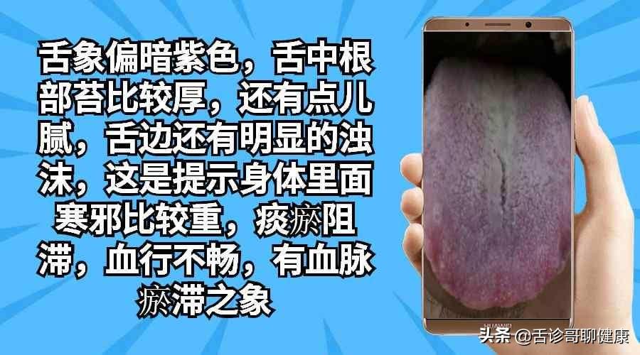 最新一期结果的深度分析与启示