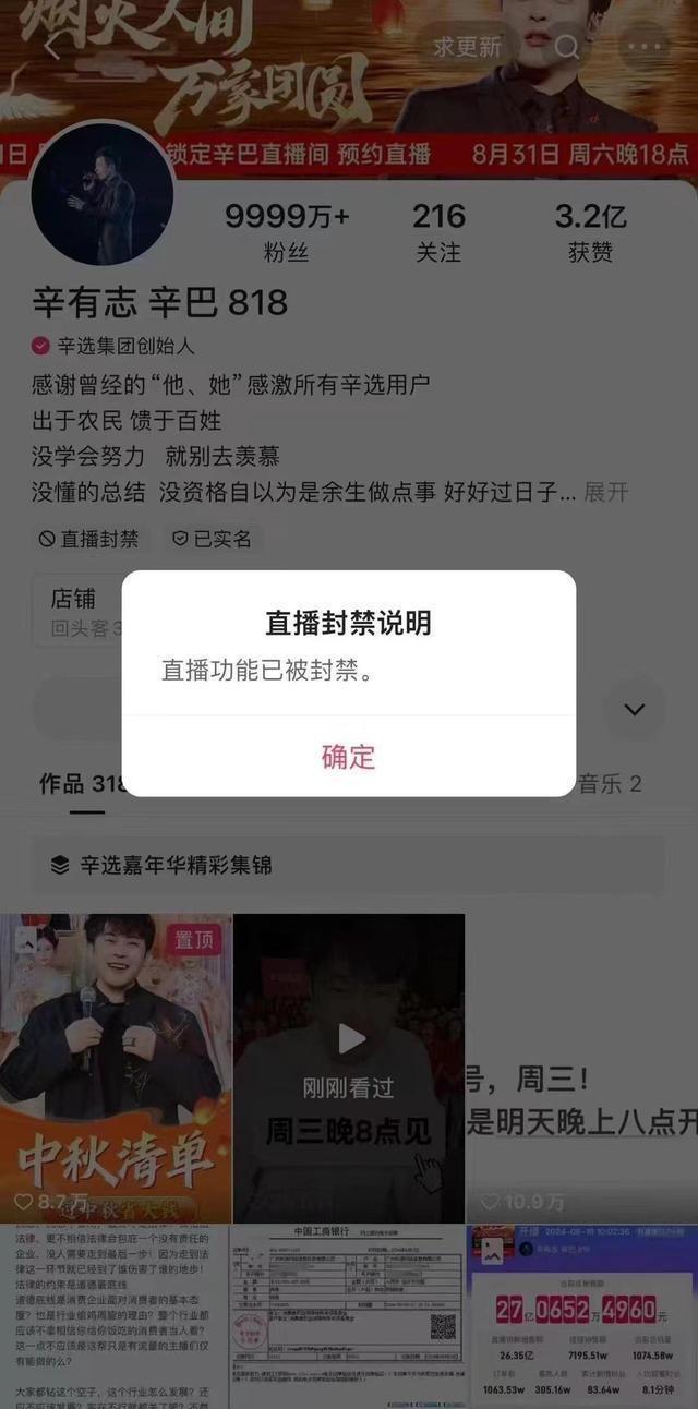 网红最新咨讯辛巴，探索网红经济的崛起与未来趋势