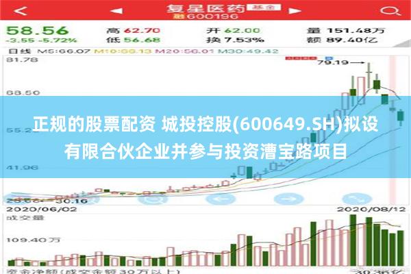 鑫宜富最新消息全面解析