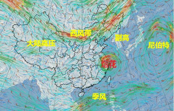 2025年1月21日 第19页