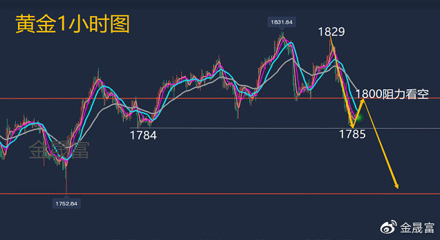 纸黄金走势最新消息，市场动向与影响因素分析