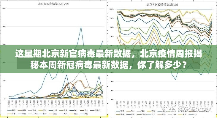 北京疫情最新消息深度解析