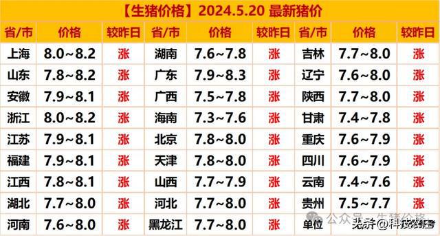 陕西猪价格今日猪价最新动态分析