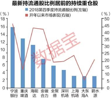 宝利来最新动向，引领变革，迈向新高度