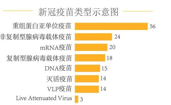 新冠疫苗最新研发进度，全球疫苗研发进展与未来展望