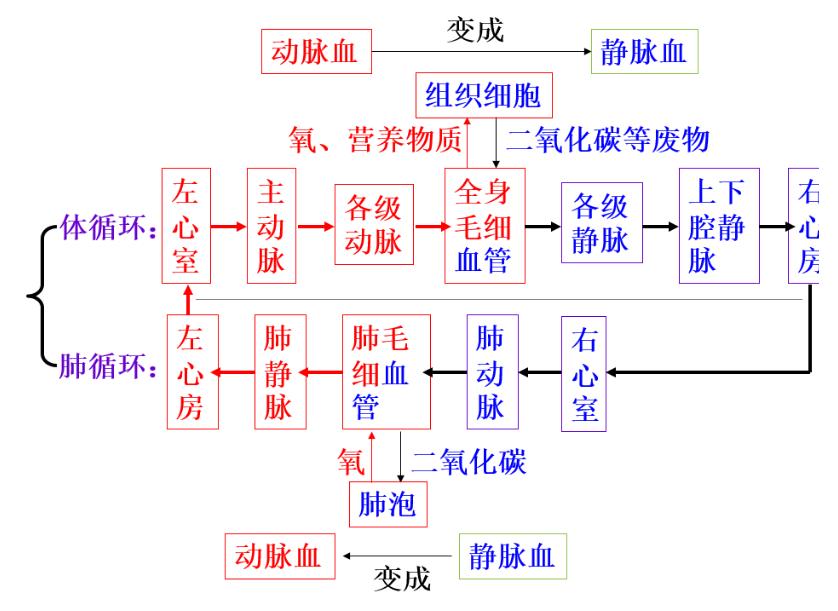 苹果8Plus最新系统详解