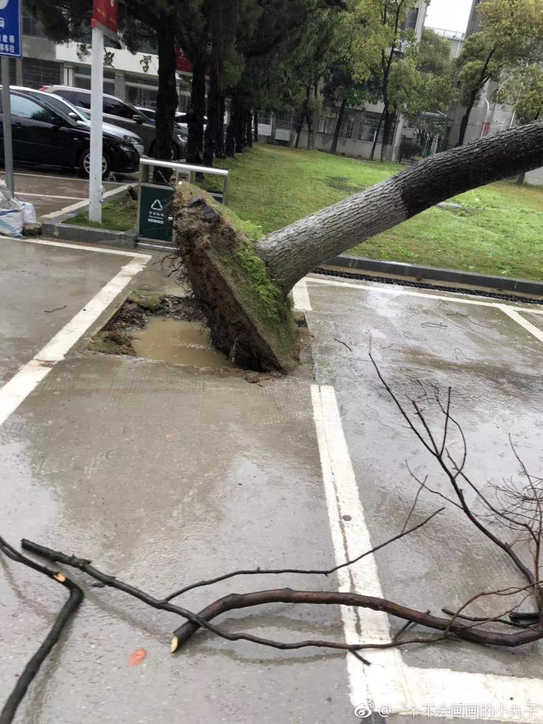 南昌大雨最新消息，城市如何应对连续暴雨的挑战