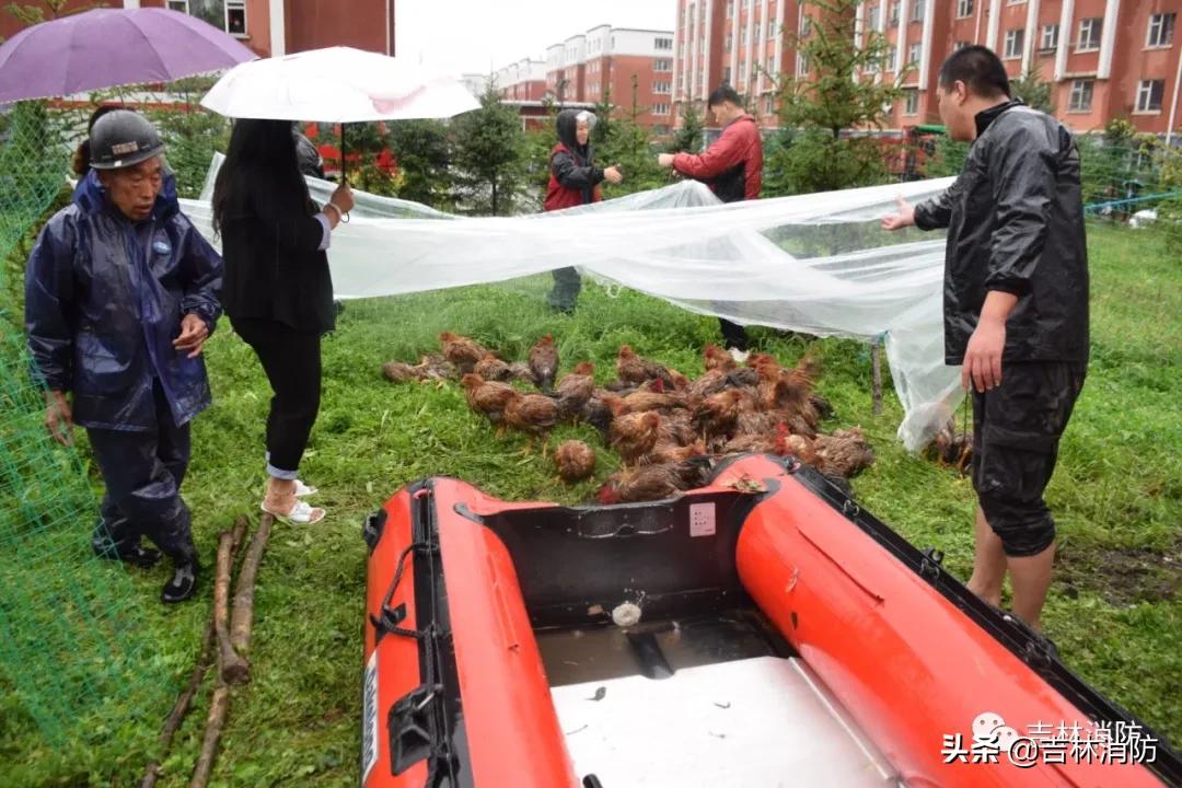 吉林台风最新消息直播，台风动态与应对措施