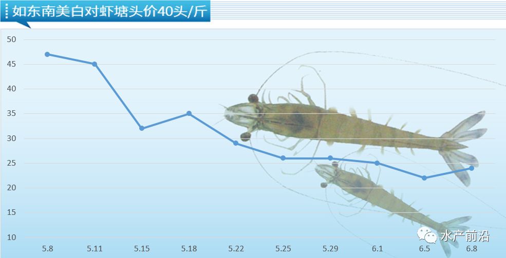 虾病最新消息，研究、防控与未来展望