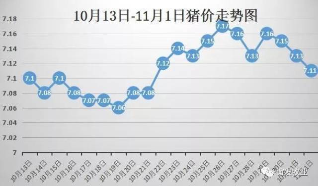 揭秘中国最新猪价走势，深度解析十一月市场动态