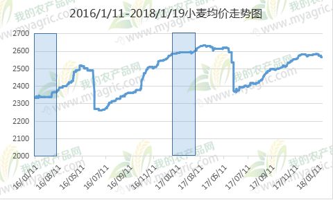 小麦价格最新行情9月深度解析