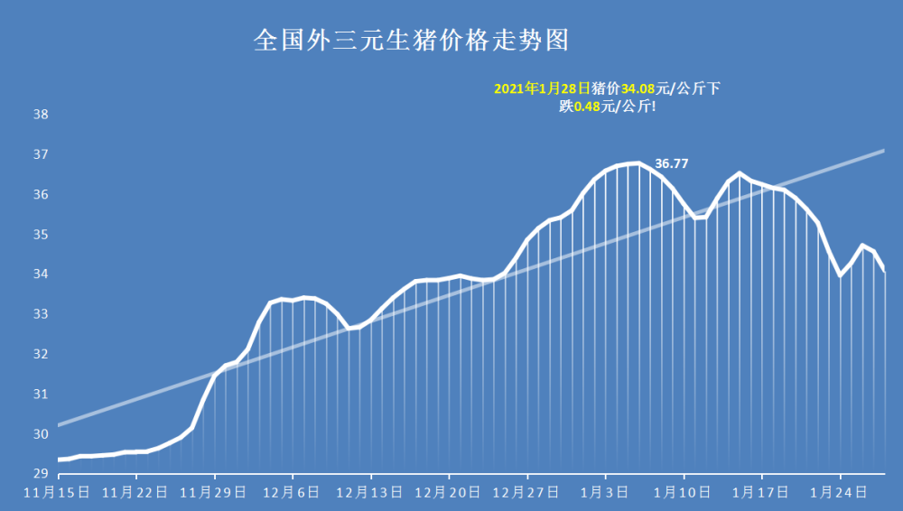 最新猪价走势分析——聚焦在即将到来的十一月