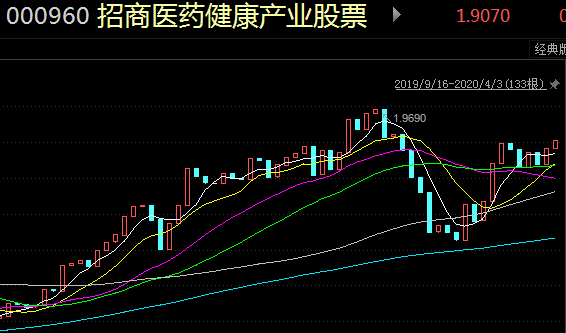 医疗基金的走势分析，未来还会上涨吗（最新视角）