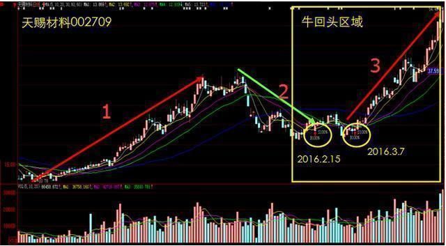 基金股票最新消息，市场走势分析与投资建议