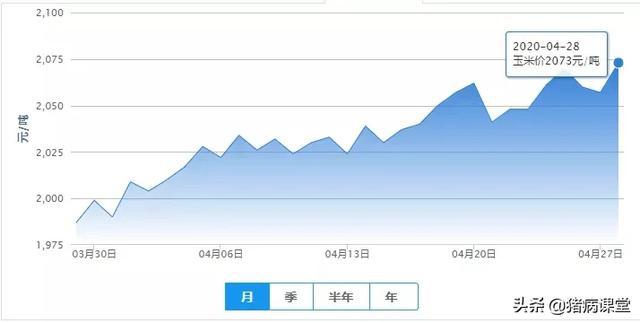 玉米今天最新价格行情分析