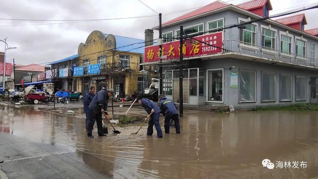 最新九号台风登陆地点及其影响分析