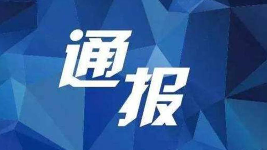 全国新增确诊病例最新动态分析