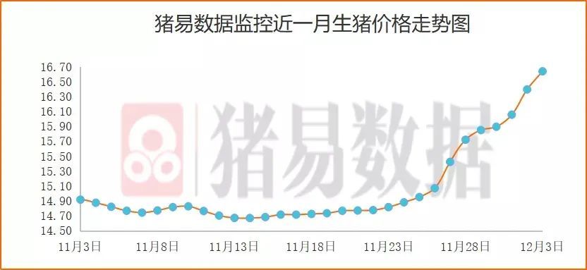 云南生猪价格今日最新动态