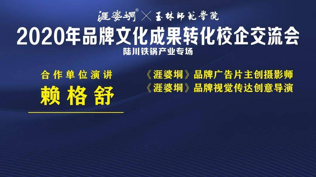 最新版本的VIP服务体验，尊贵、便捷与创新的完美结合