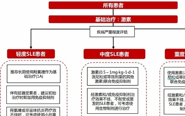 红斑狼疮的最新报道，研究突破与未来治疗展望