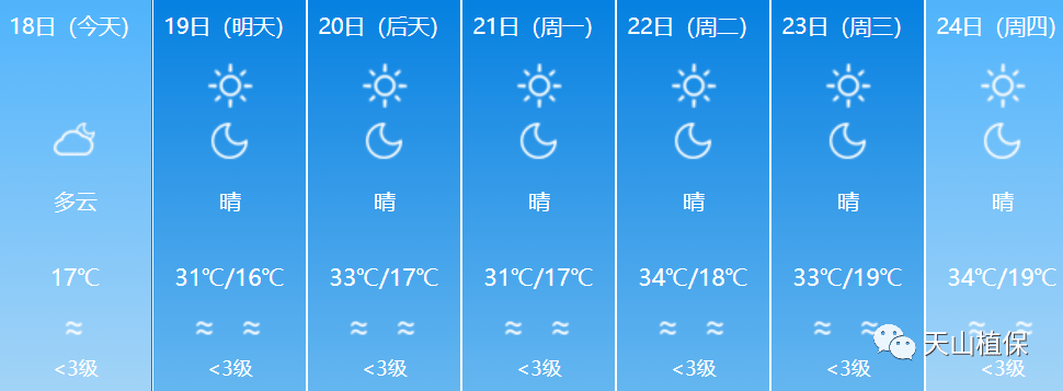 天气预报最新新疆阿克苏气象信息解析