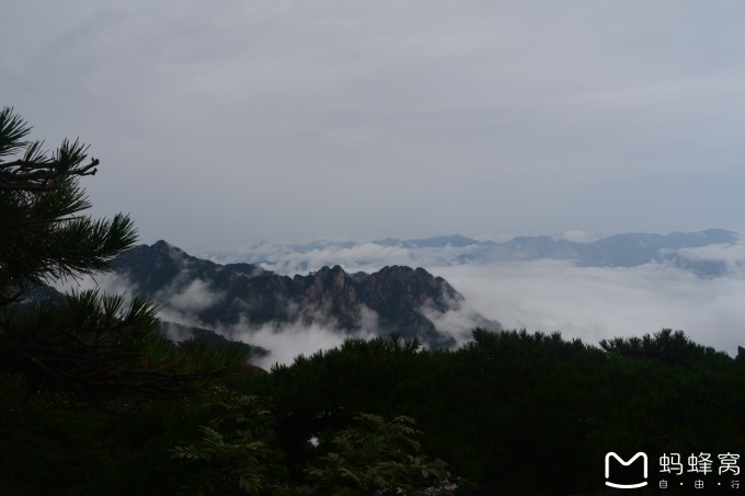 黄山迎客松最新图片，自然之美的永恒展现