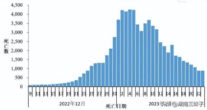 2025年2月20日 第10页