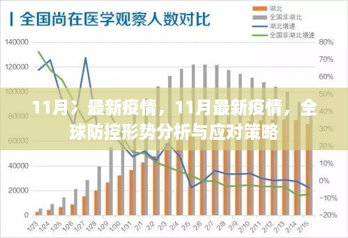 最新疫情动态与应对策略，聚焦全球视角下的十二月观察报告