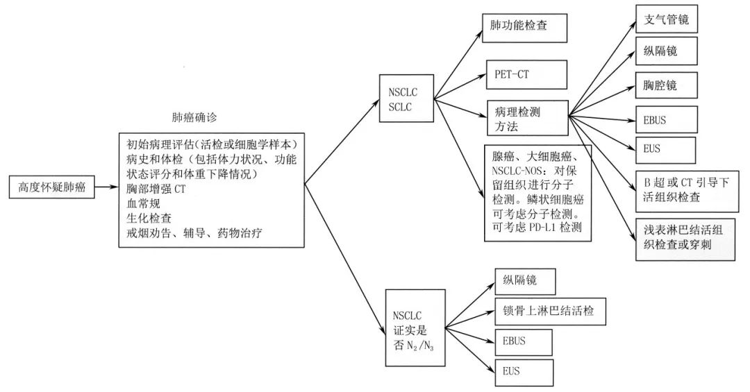 肺癌诊疗指南最新版概述