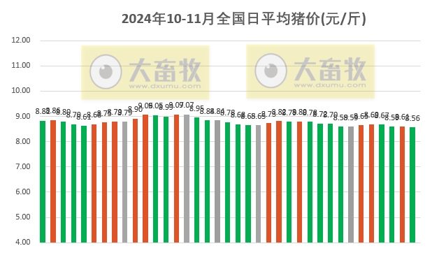 今日全国猪价格表最新，市场走势深度解析