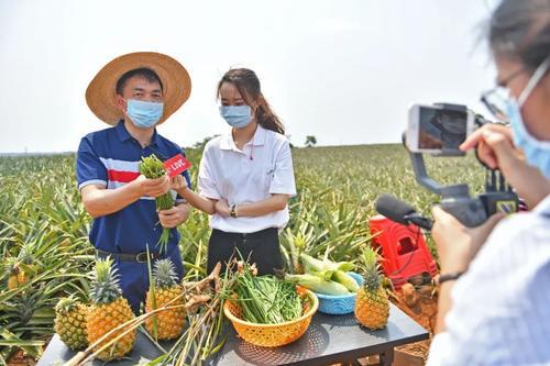 探究拼多多最新问题，挑战与机遇并存