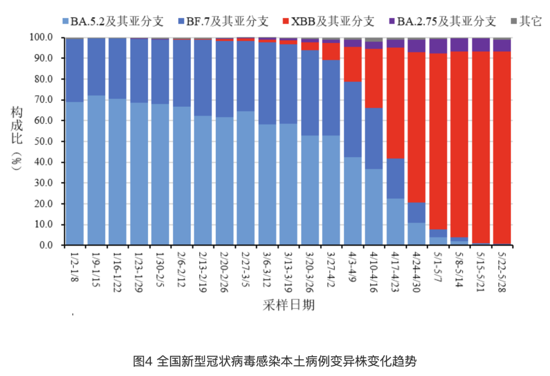 全球最新疫情实时数据图，揭示新冠病毒的全球蔓延态势