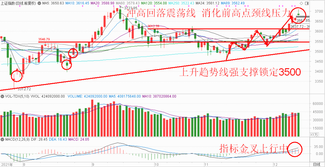 理财产品最新排行，洞悉市场趋势，把握投资机会