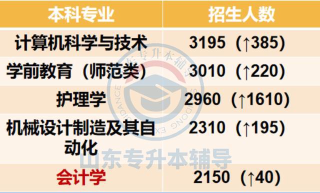 最新山东省专升本政策解读与发展趋势分析