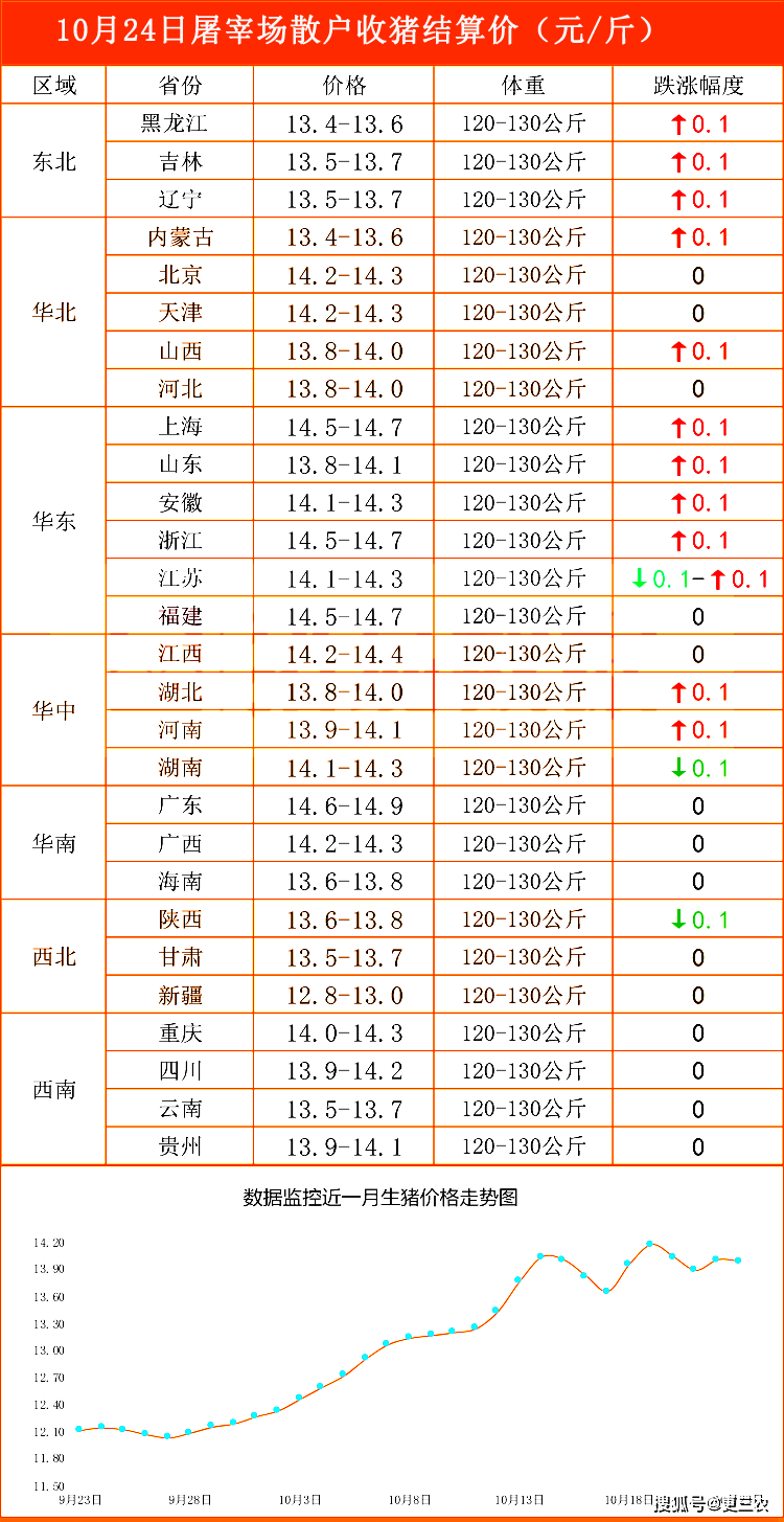 今日最新猪价（XX月24号）深度分析与预测